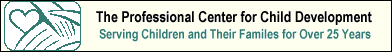 The Professional Center