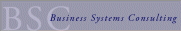 Business Systems Consulting